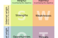SWOT